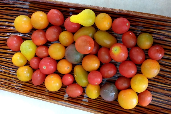 heirloom-cherry-grape-tomatoe-variety-pack